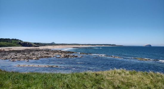 Tyninghame Beach