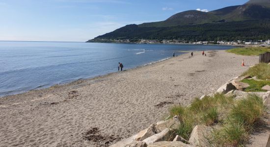 Newcastle Beach