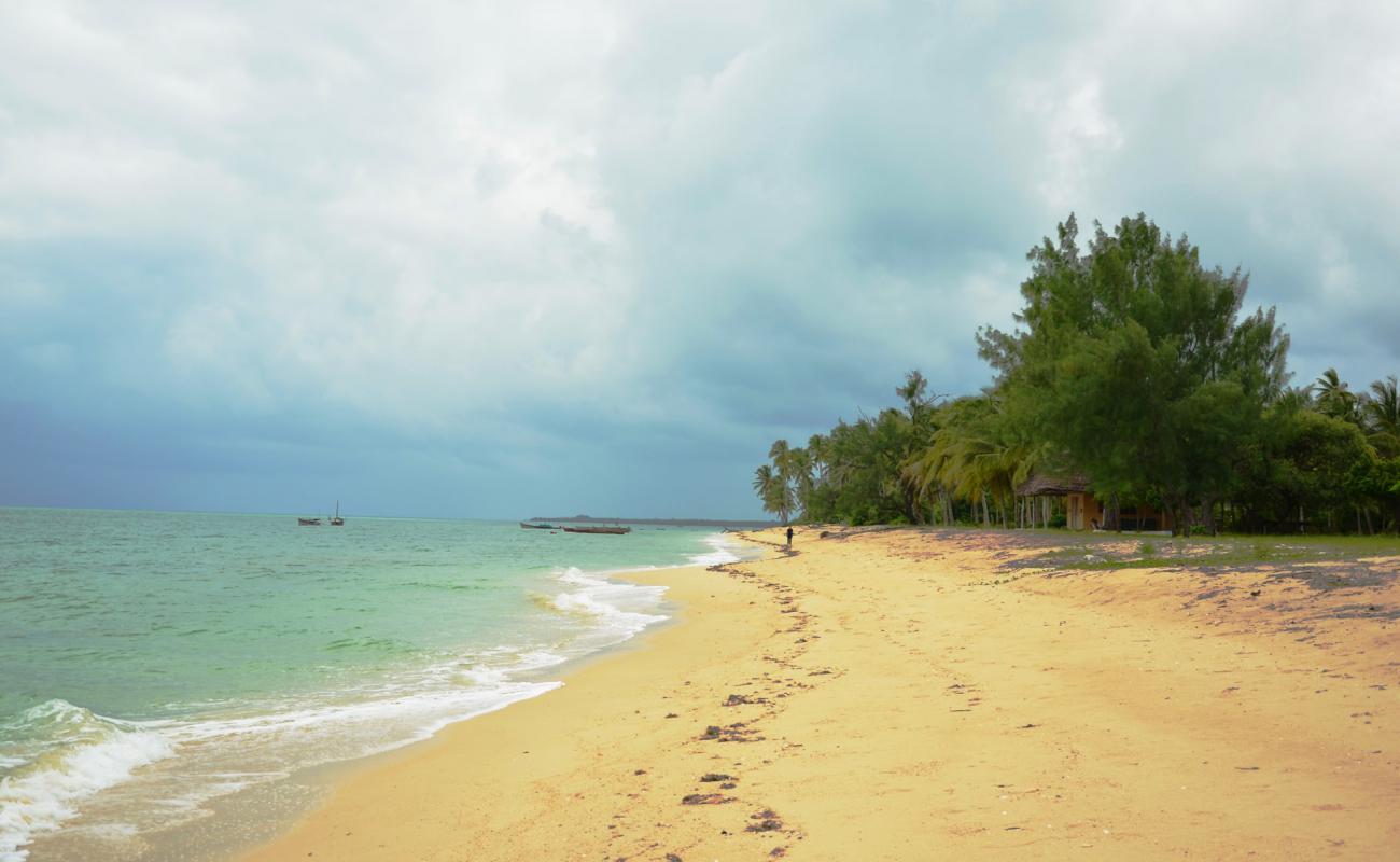 Фото Bweni Beach с золотистый песок поверхностью