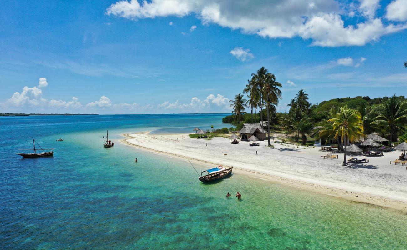 Фото Mafia Island Beach с золотистый песок поверхностью