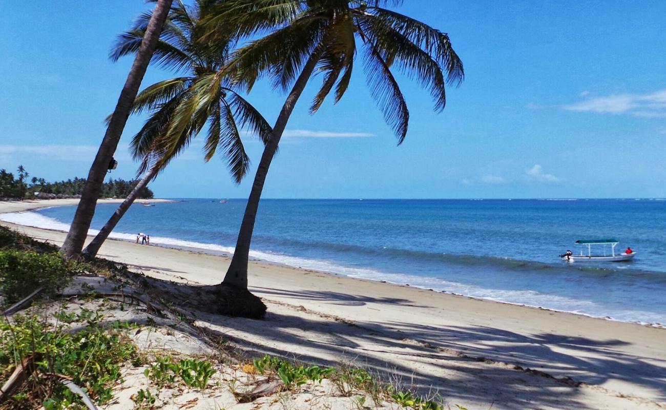 Фото Ushongo Beach с светлый песок поверхностью