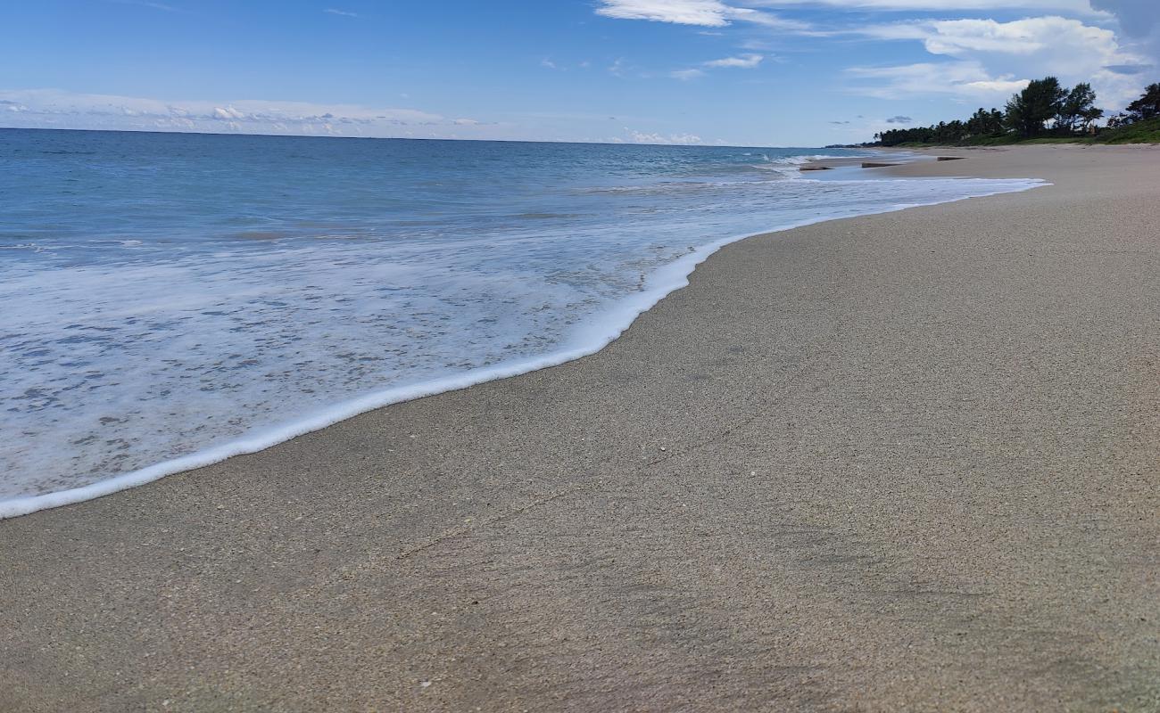 Фото Bath & Tennis Club beach с светлый песок поверхностью