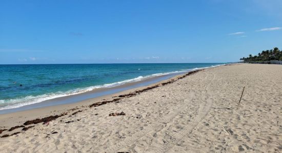 Palm Island beach