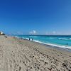 Lazy Loggerhead beach