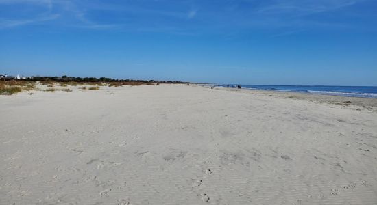 Sullivan's Island beach