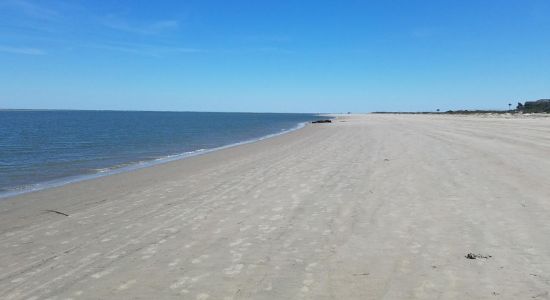 Isle of Palms beach II