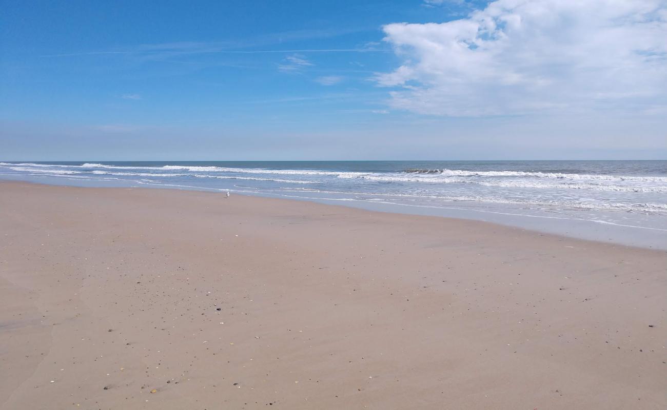 Фото Sea Haven beach с светлый песок поверхностью