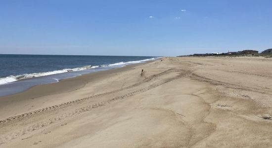 Sandbridge beach