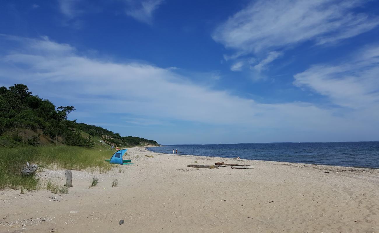 Фото Sammys Beach с светлый песок поверхностью