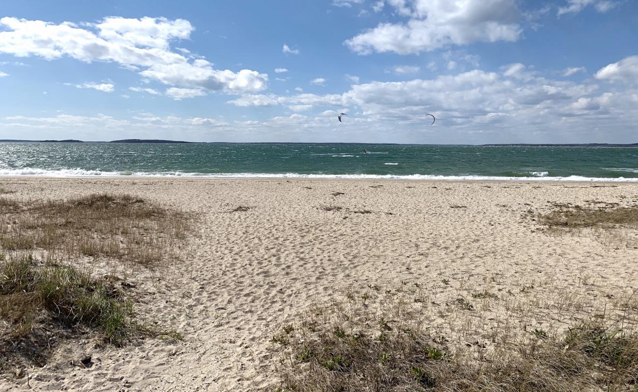 Фото Foster Beach с золотой ракушечник поверхностью