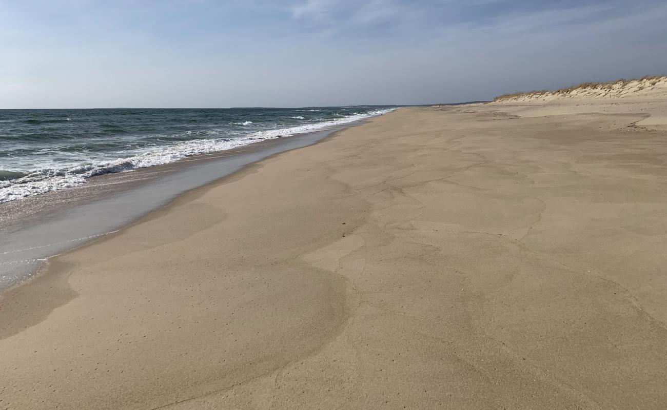 Фото Long Point Beach с светлый песок поверхностью