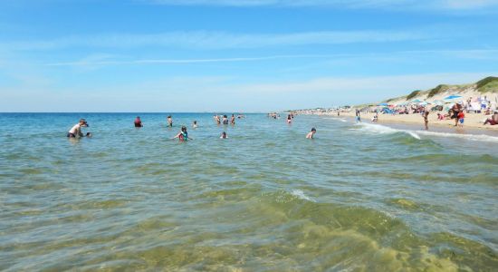 Herring Cove beach