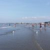 Nantasket beach