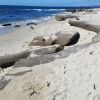 La Jolla Tide Pools