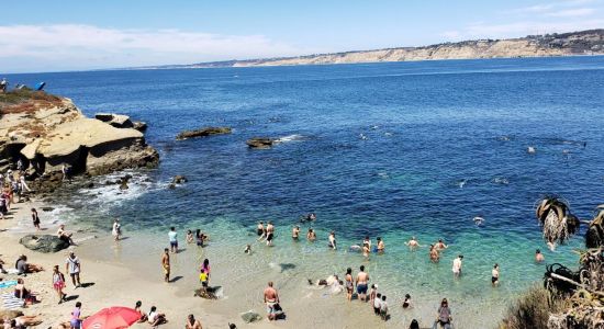 La Jolla Cove