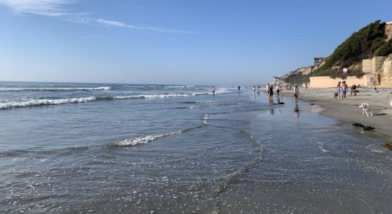 Del Mar Dog beach