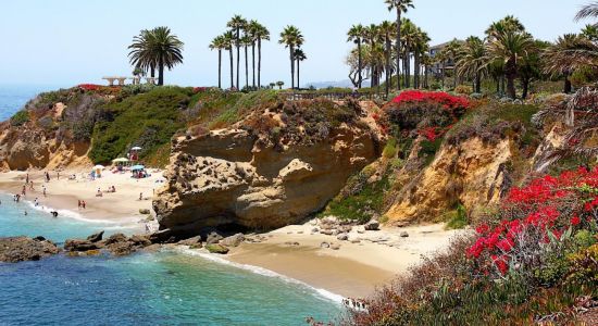 Treasure Island beach