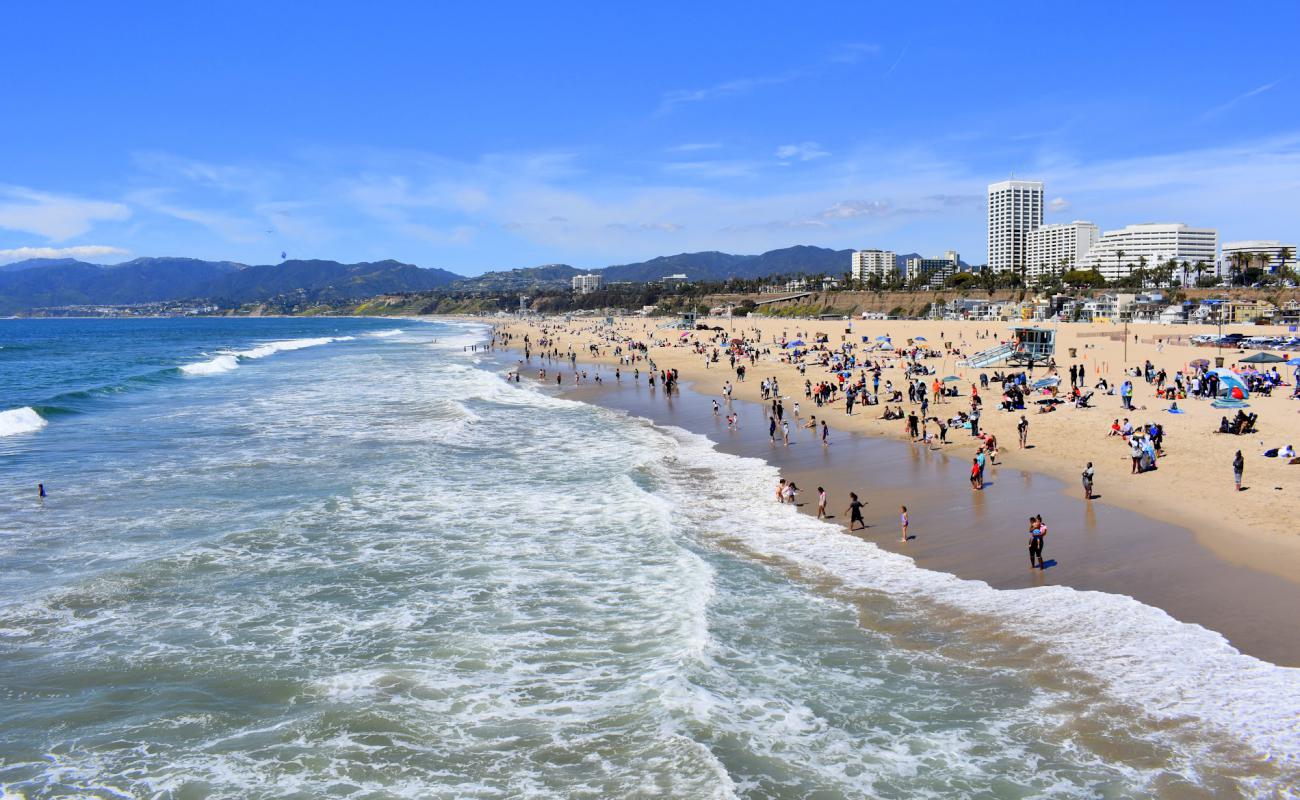 Фото Santa Monica Beach с светлый песок поверхностью