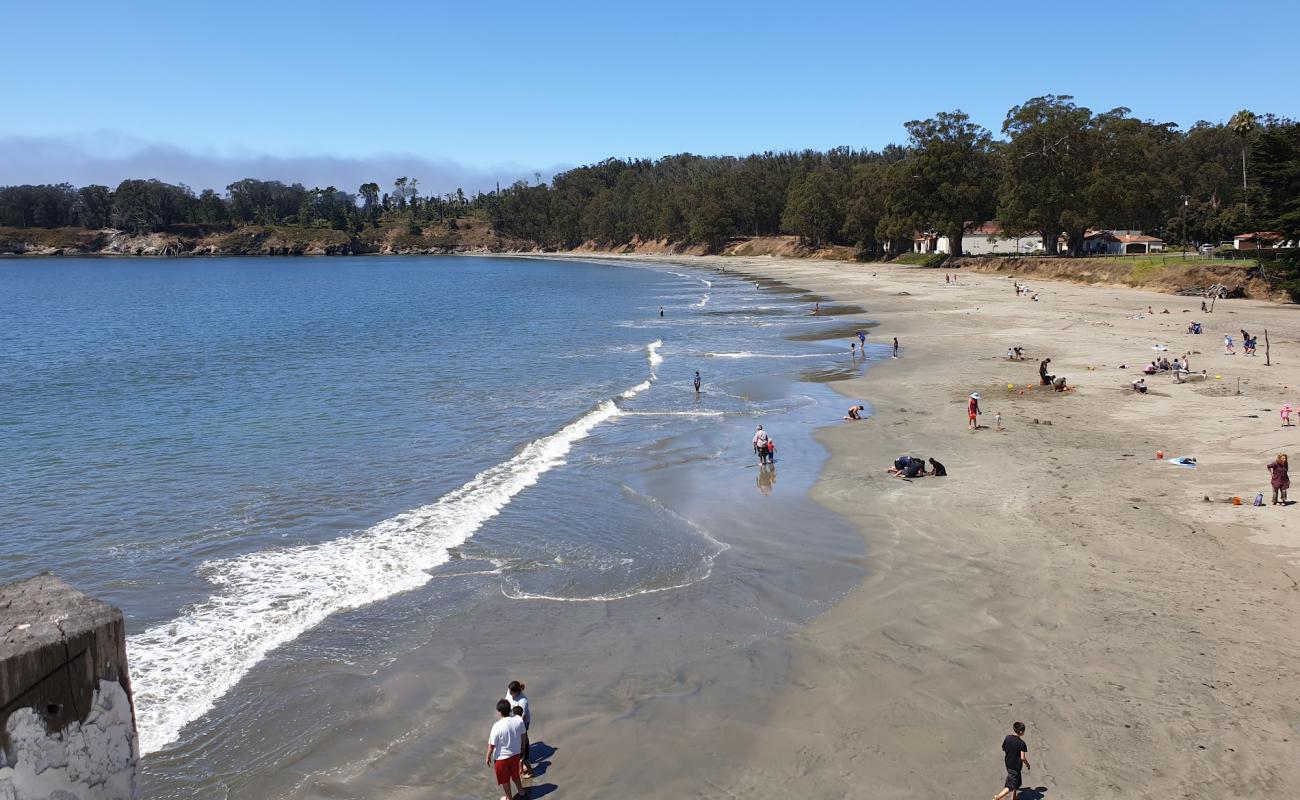 Фото San Simeon Pier beach с белая чистая галька поверхностью