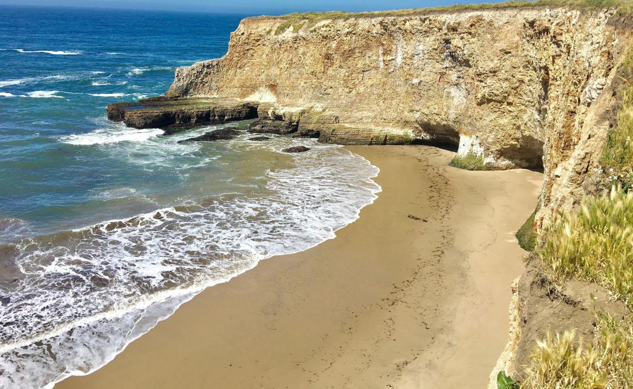 Фото Davenport Beach с белая чистая галька поверхностью