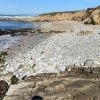 Pescadero Beach