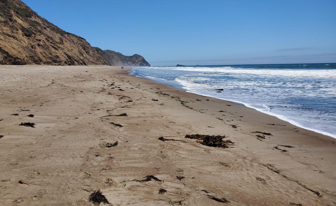 Фото Wildcat Beach с светлый песок поверхностью