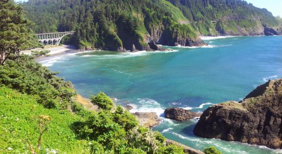 Heceta Head Beach