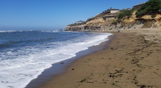 Fogarty Creek Beach