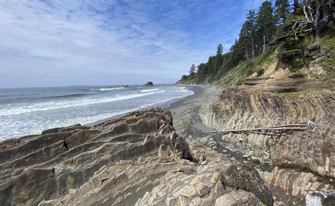 Фото Kalaloch Beach II с песок с камнями поверхностью