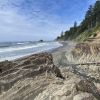 Kalaloch Beach II