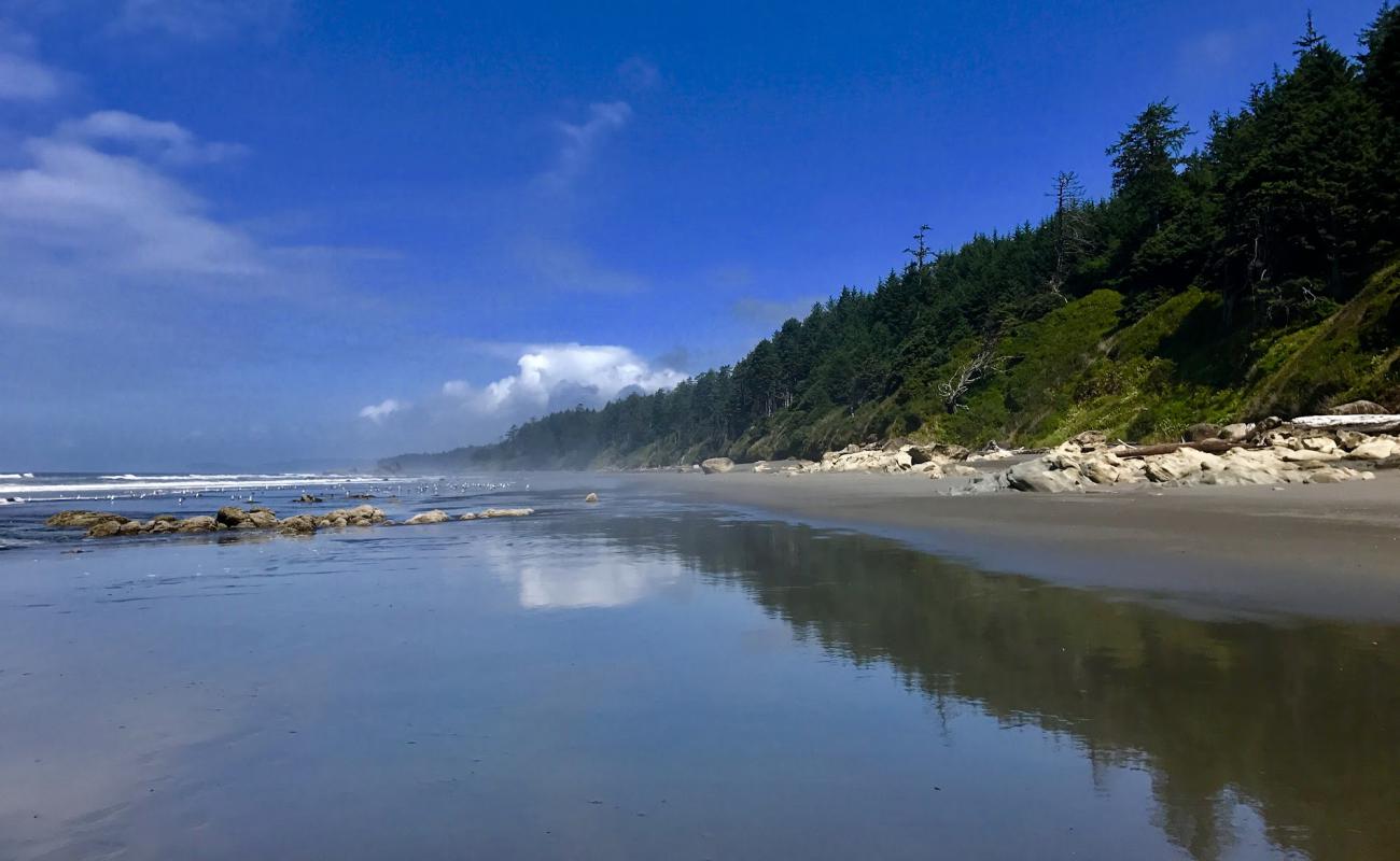 Фото Ruby Beach с песок с галькой поверхностью