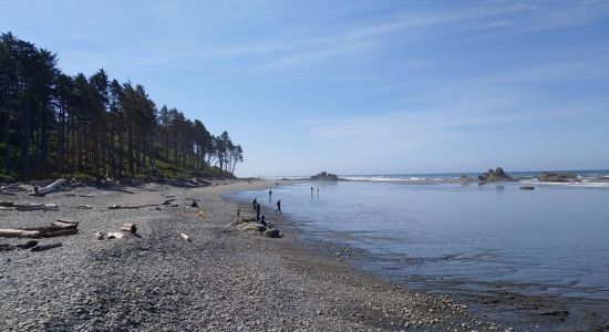 Mosquito Creek Beach