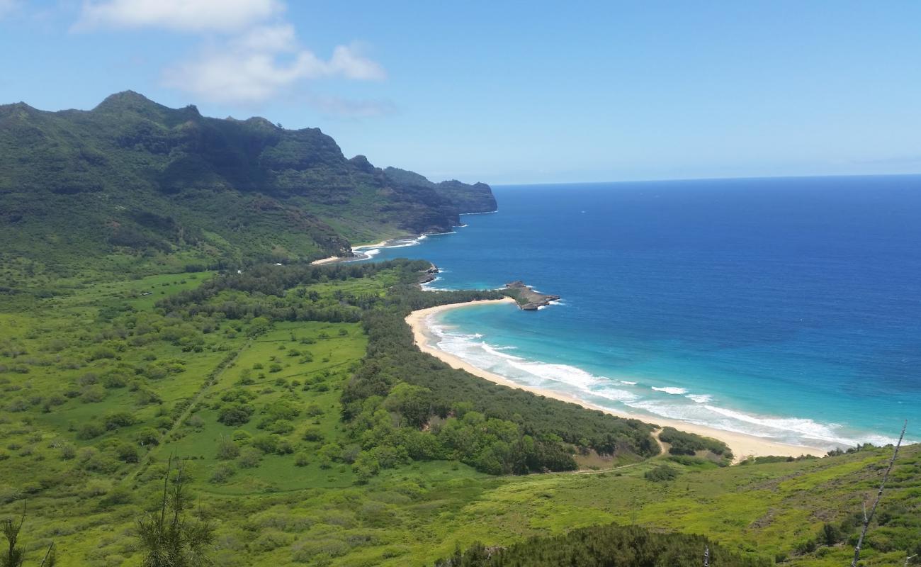 Фото Kipu Kai Beach с золотистый песок поверхностью