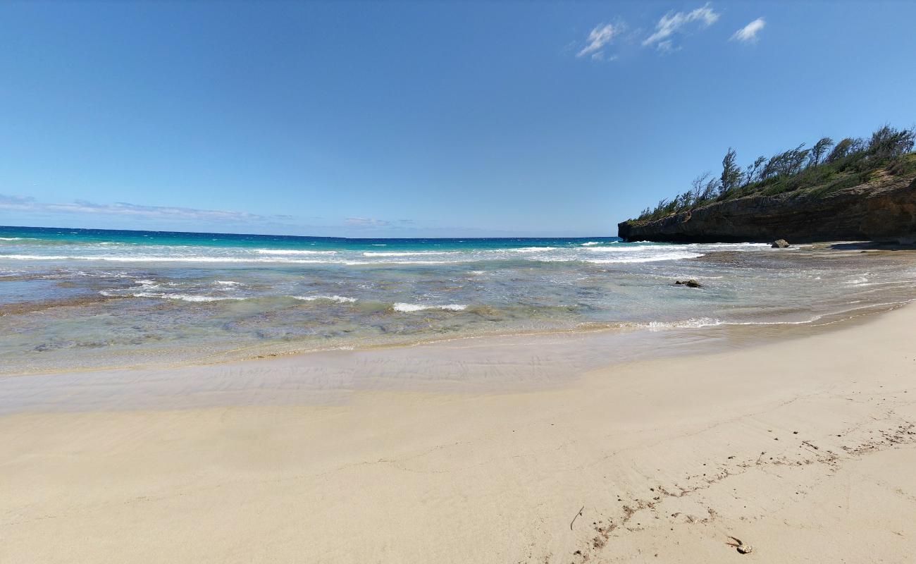 Фото Ha'ula Beach дикая зона