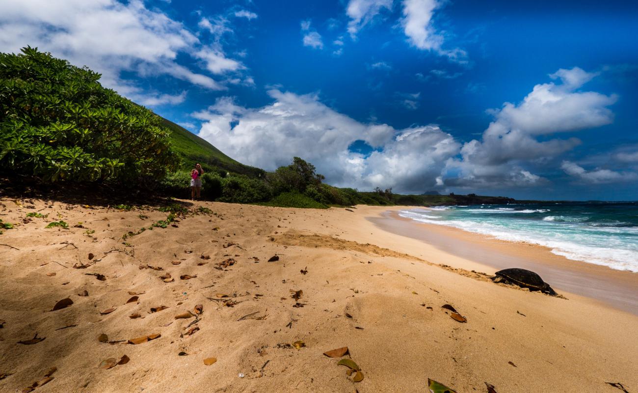 Фото Palama Beach с золотистый песок поверхностью