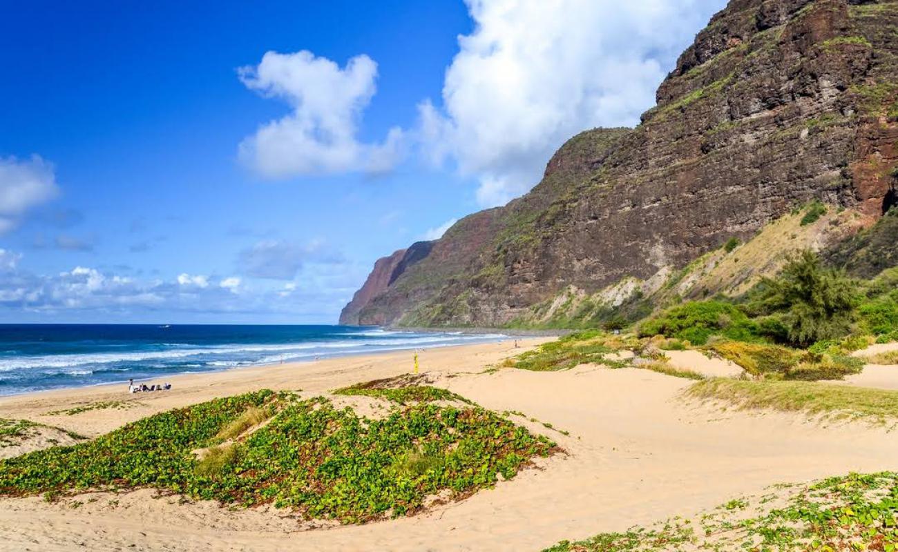 Фото Polihale State Beach с светлый песок поверхностью