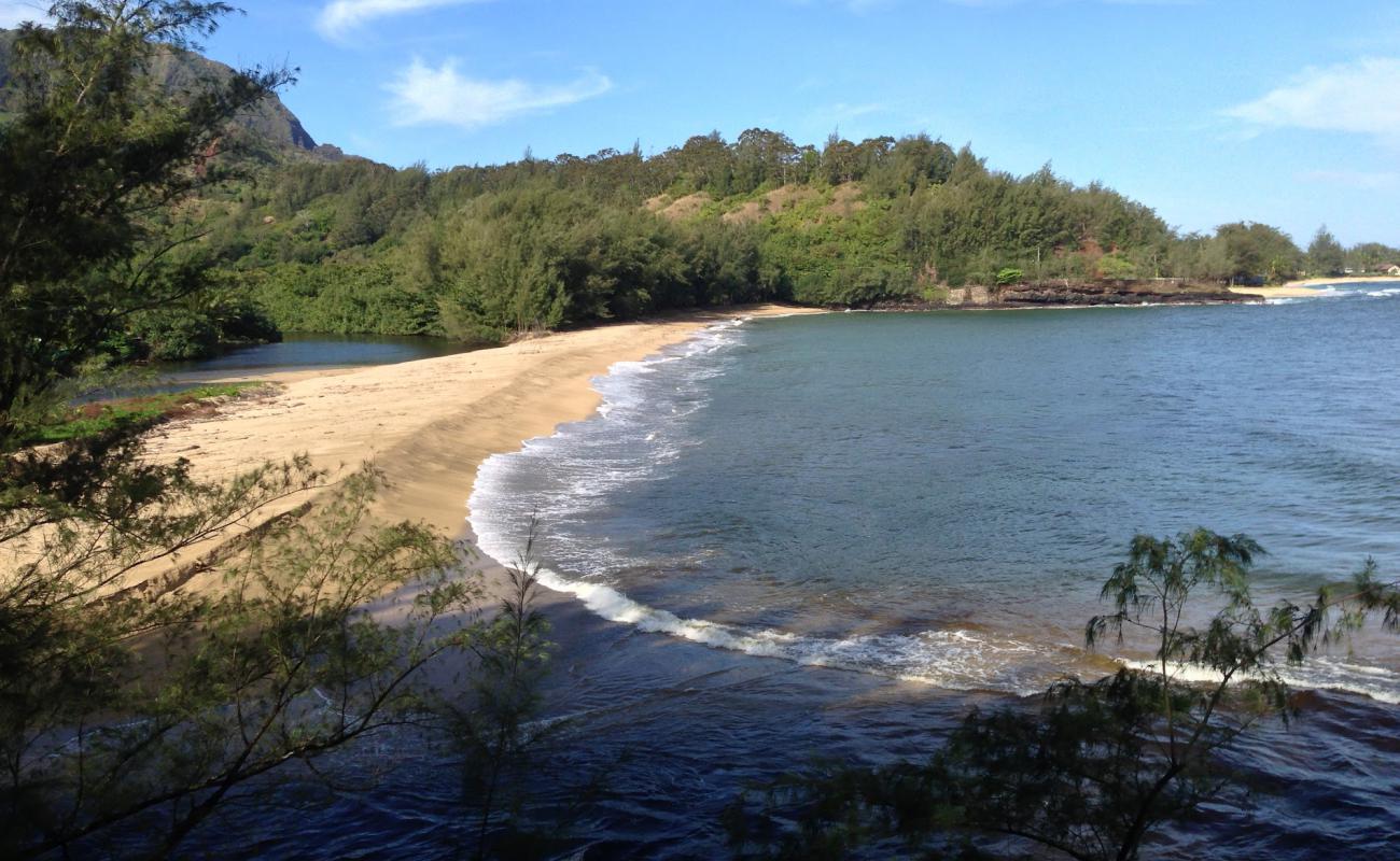 Фото Wainiha Beach с светлый песок поверхностью