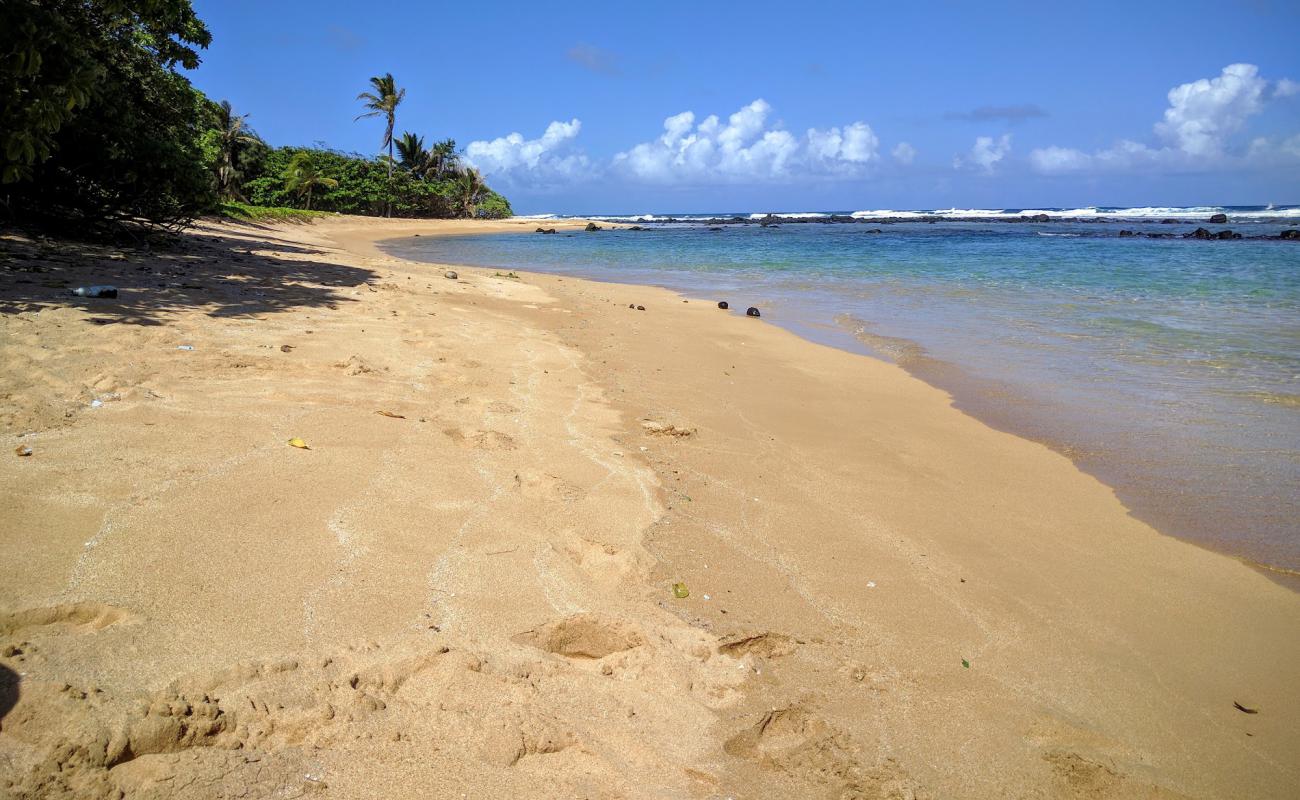 Фото Papa'a Bay Beach с песок с камнями поверхностью