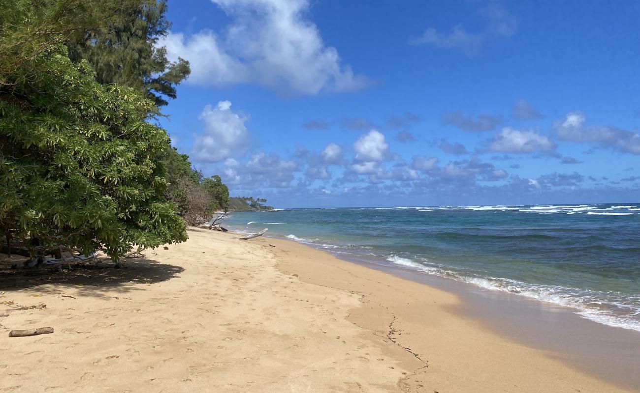 Фото Anahola Beach II с светлый песок поверхностью