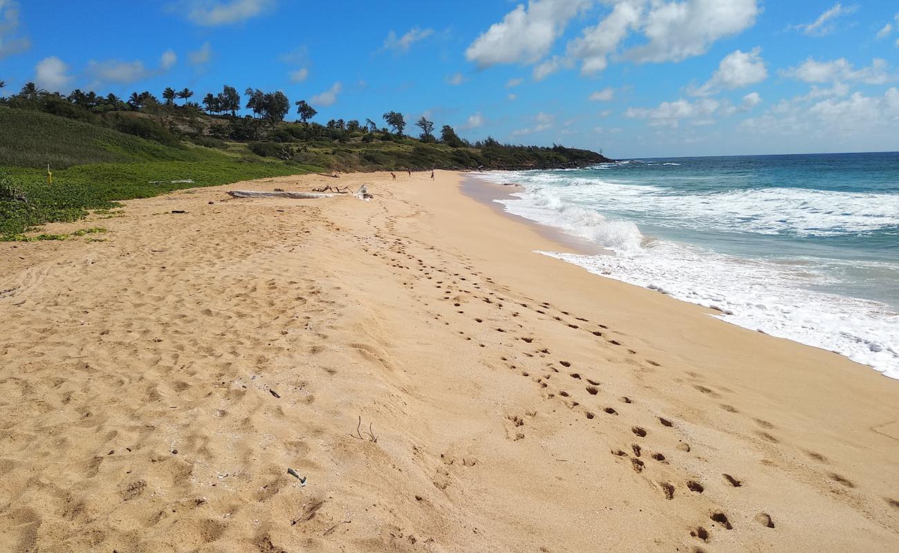 Фото Paliku Beach с светлый песок поверхностью