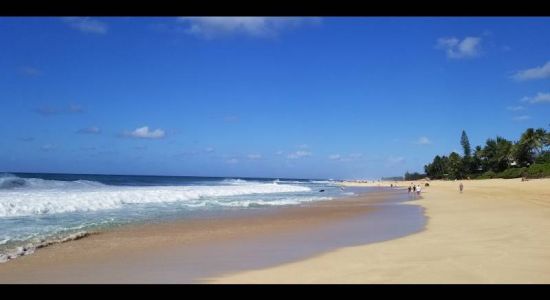 Ehukai Beach