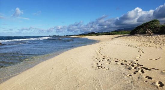 Kahuku Beach