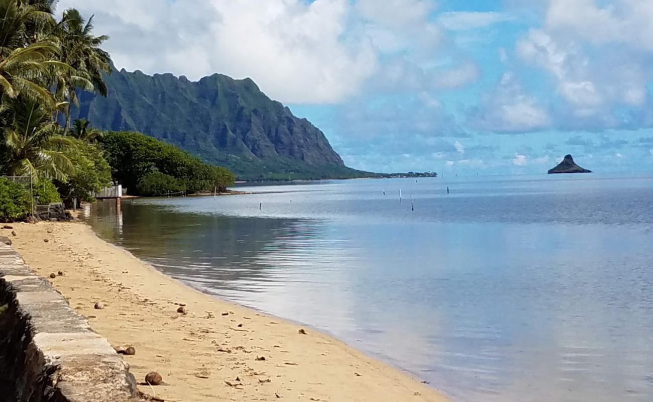 Фото Laenani Beach с светлый песок поверхностью