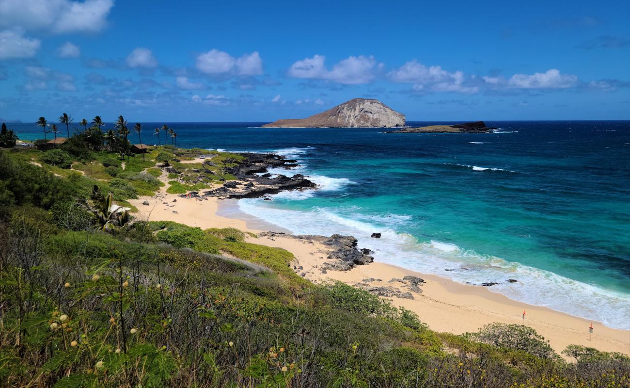 Фото Makapuu beach с золотистый песок поверхностью