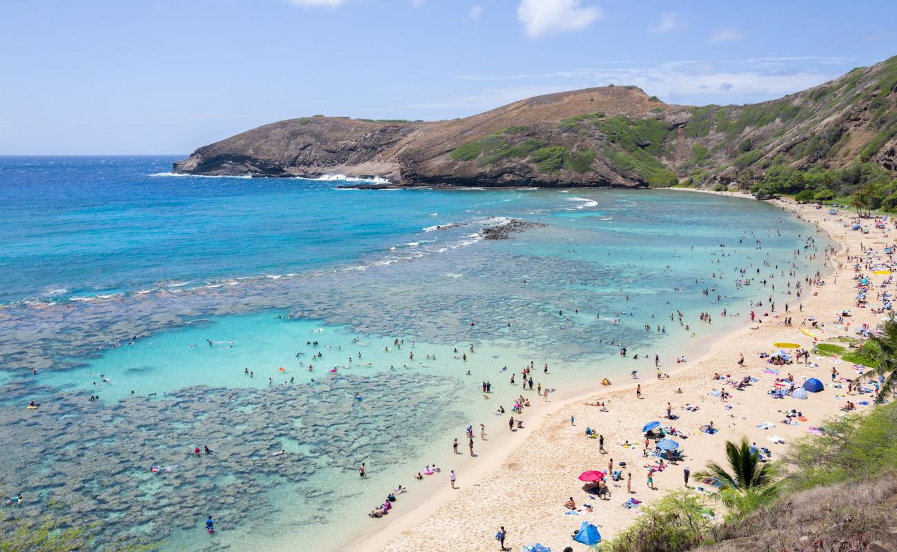 Фото Hanauma Bay с золотистый песок поверхностью