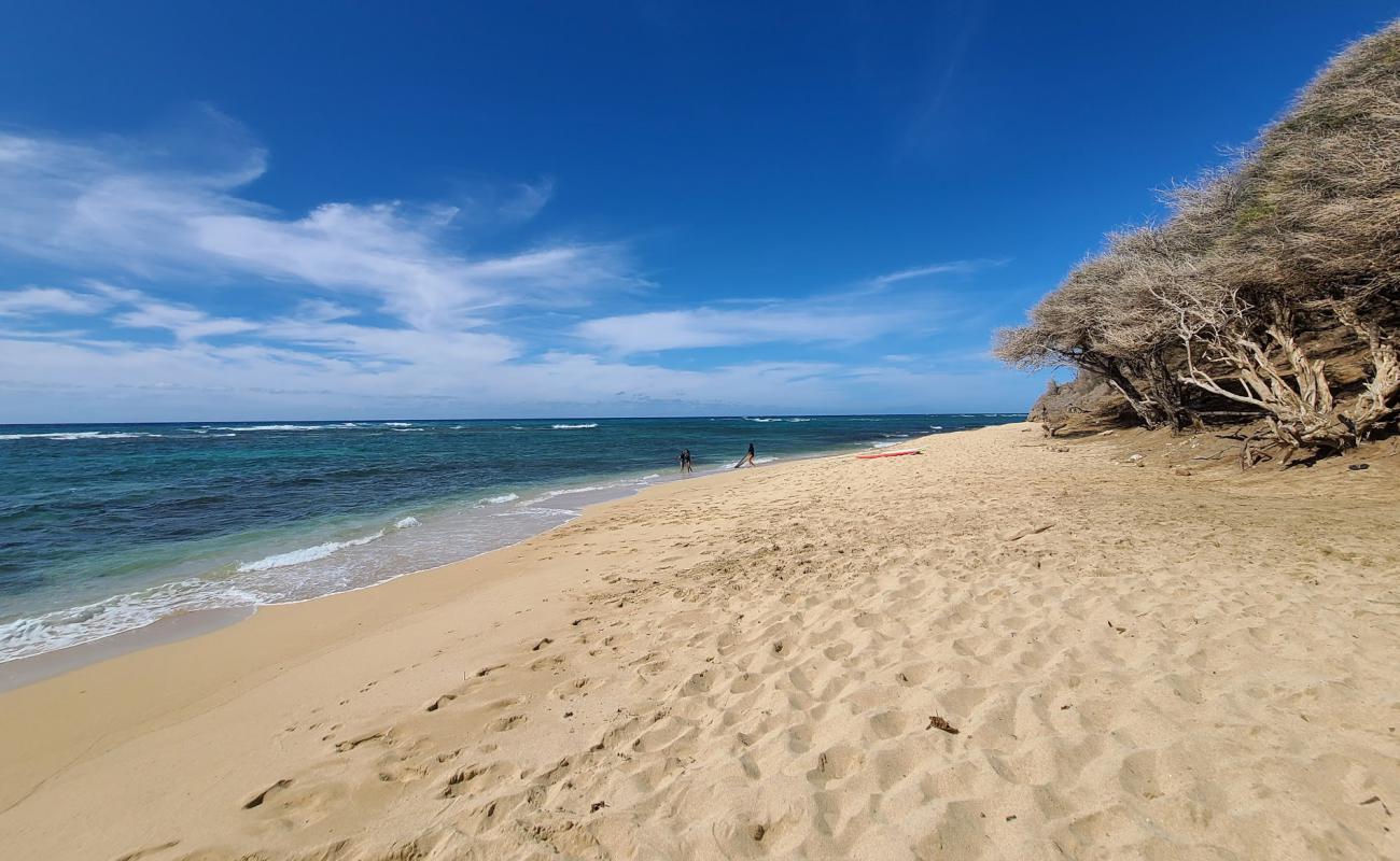 Фото Diamond Head Beach Park с песок с камнями поверхностью