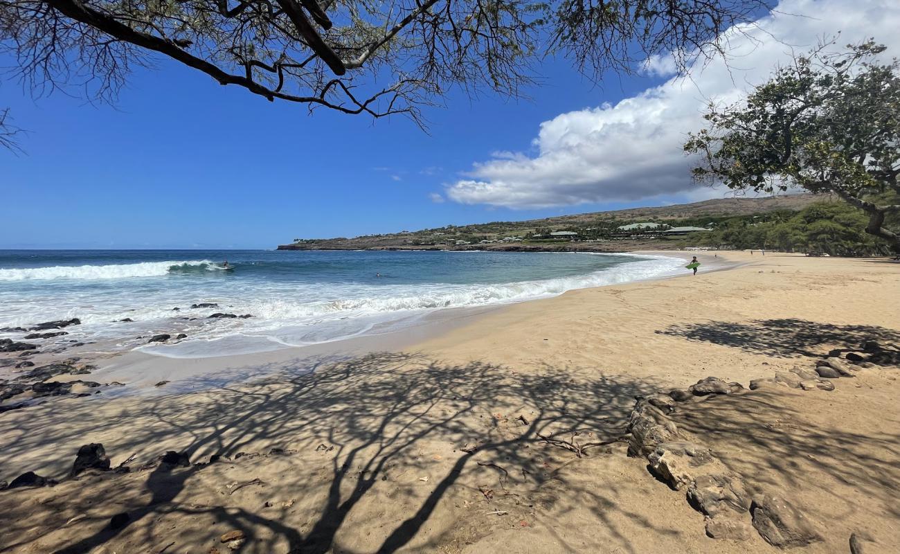 Фото Hulopo'e Beach с светлый песок поверхностью