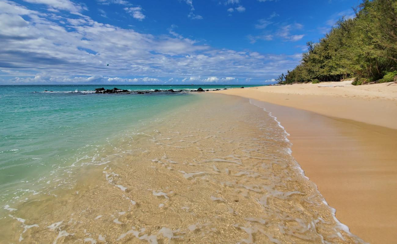 Фото Kanaha Beach с светлый песок поверхностью