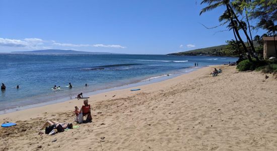 Coast Guard Beach