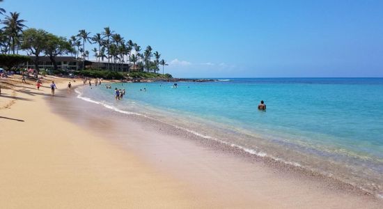 Napili Bay Beach